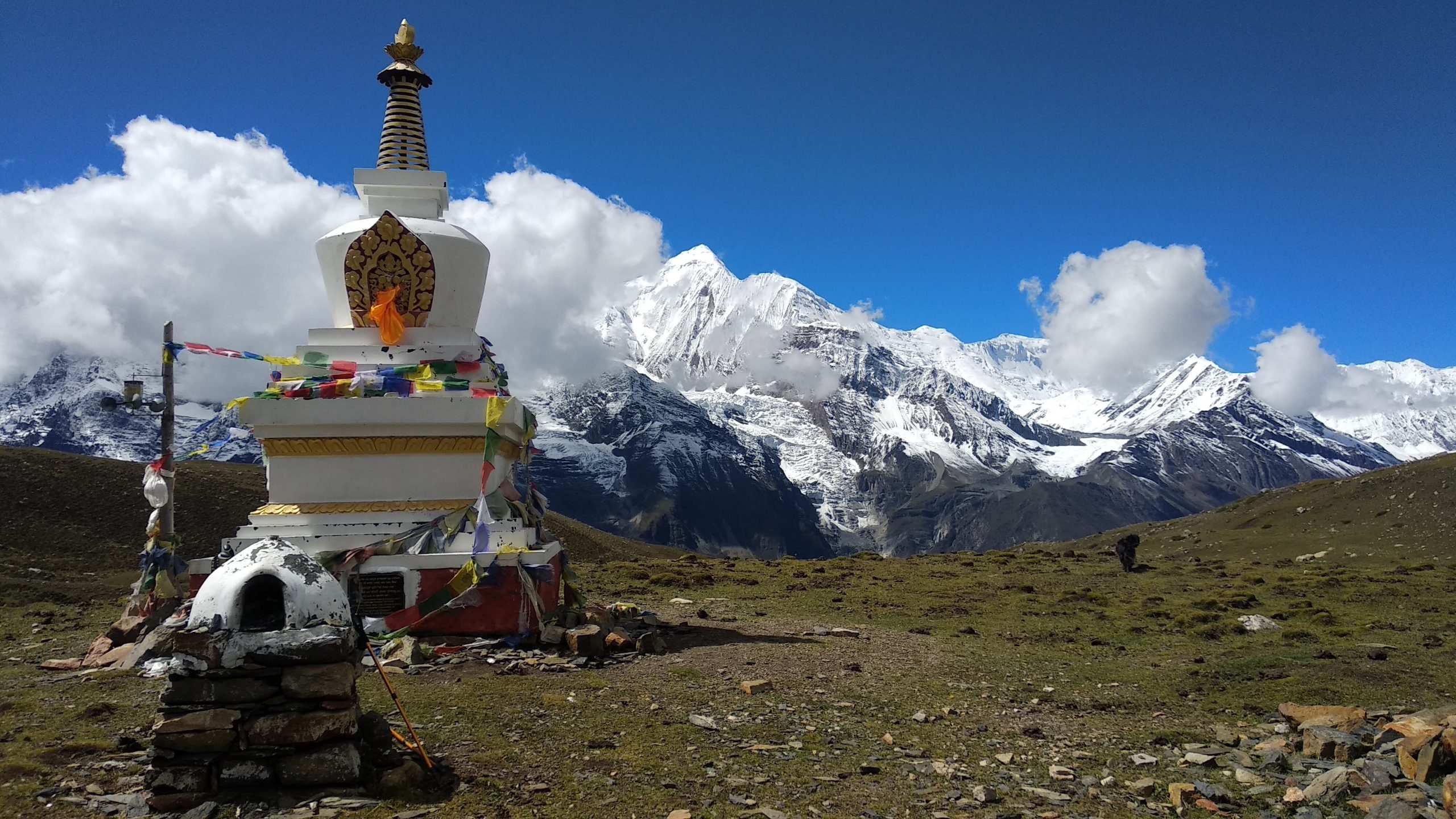 SoySherpa - Diseño de viajes a medida y viajes en grupo SoySherpa - Viaje en grupo Nepal - Circuito Annapurnas