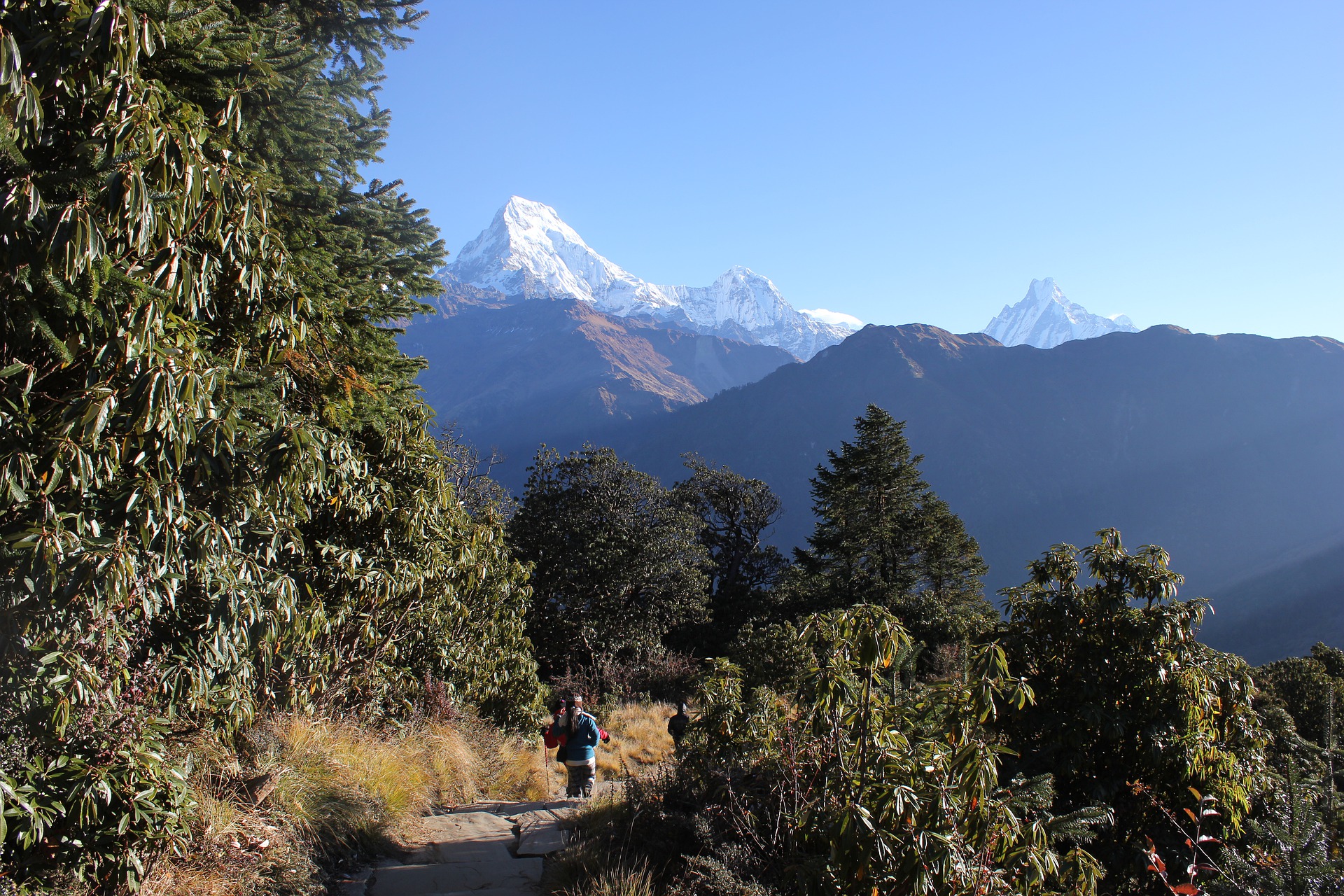 SoySherpa - Viajes en grupo a Nepal - Poon Hill trek Poon Hill - Viajes en grupo a Nepal
