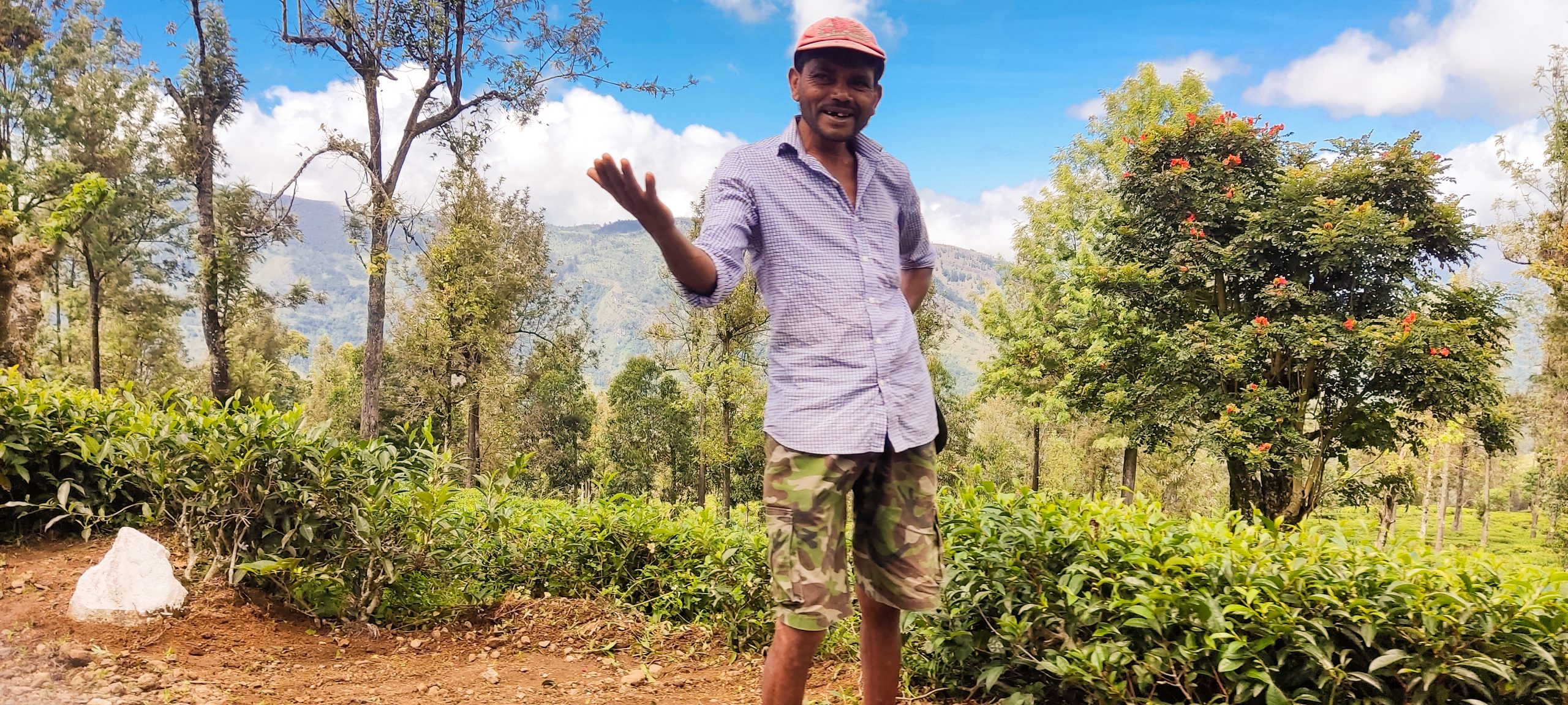 SoySherpa - Viajes en Grupo Sri Lanka - Nuwara Eliya SoySherpa - Viajes en Grupo Sri Lanka - Plantaciones de té